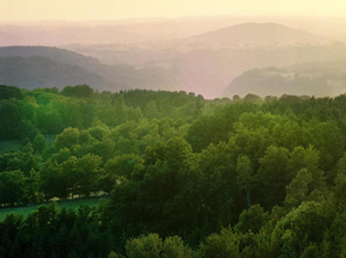 Yourtes De Vassiviere Peyrat-le-Chateau Luaran gambar